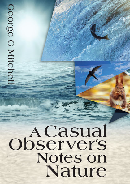 front cover of the book, A Casual Observer